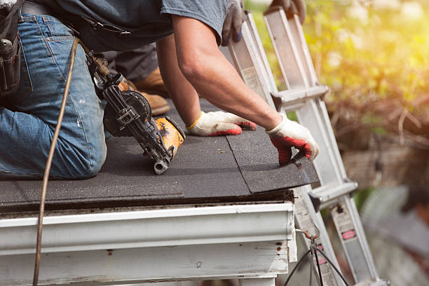 Best Local Roofing Companies  in Wildwood, TN